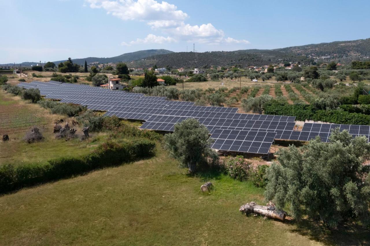 Negroponte Resort Eretria Екстериор снимка